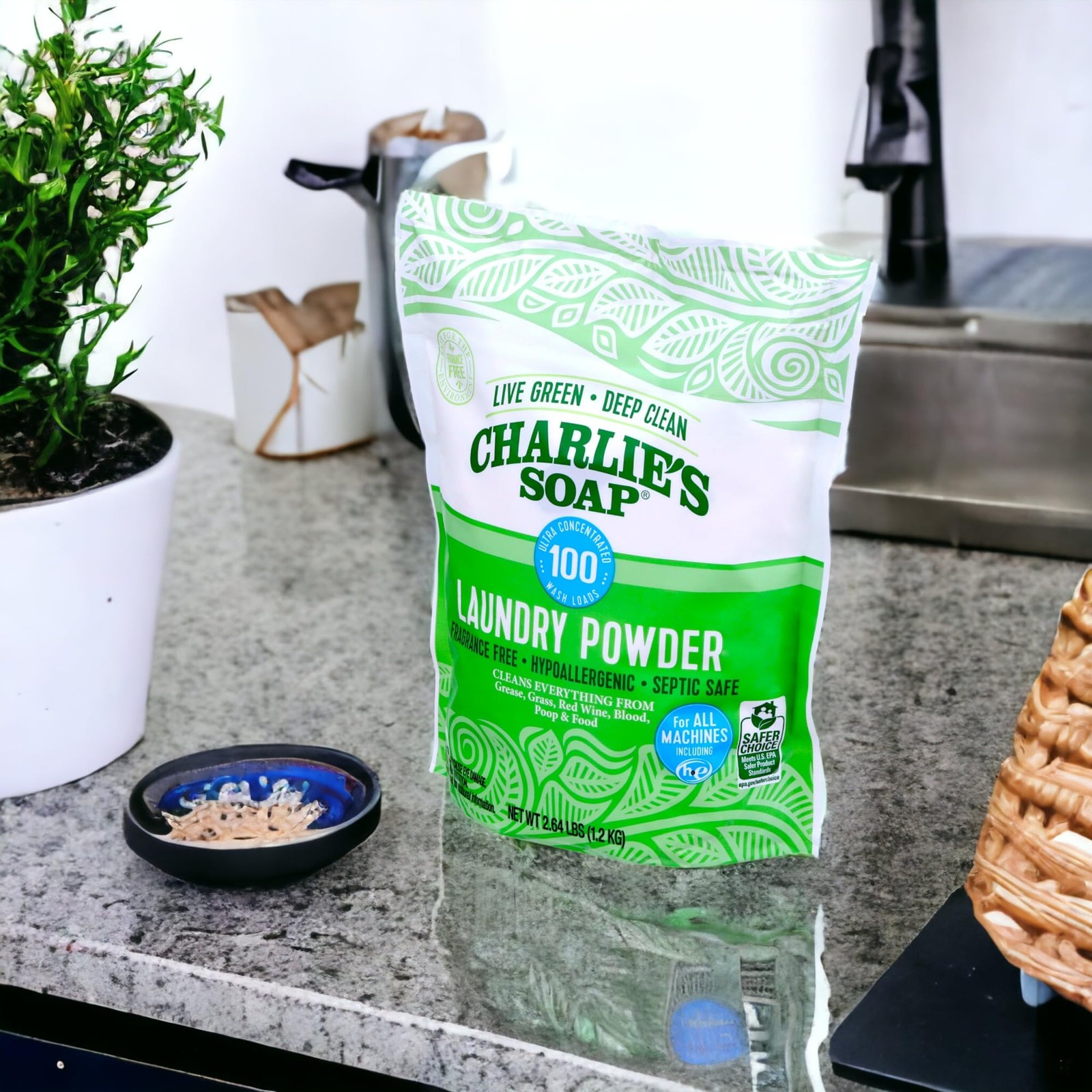 Charlie’s Soap Laundry Powder (100 Loads, 2 Pack) 42.24 Ounce (Pack of 2)