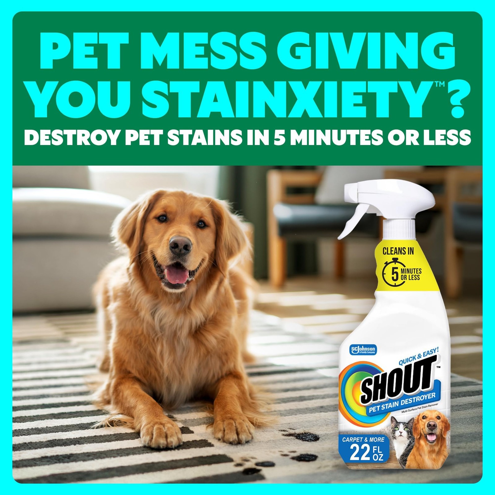 Shout Pet Stain Remover Spray, Color-Safe Multisurface & Carpet Cleaner Solut…