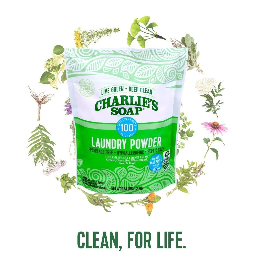 Charlie’s Soap Laundry Powder (100 Loads, 2 Pack) 42.24 Ounce (Pack of 2)
