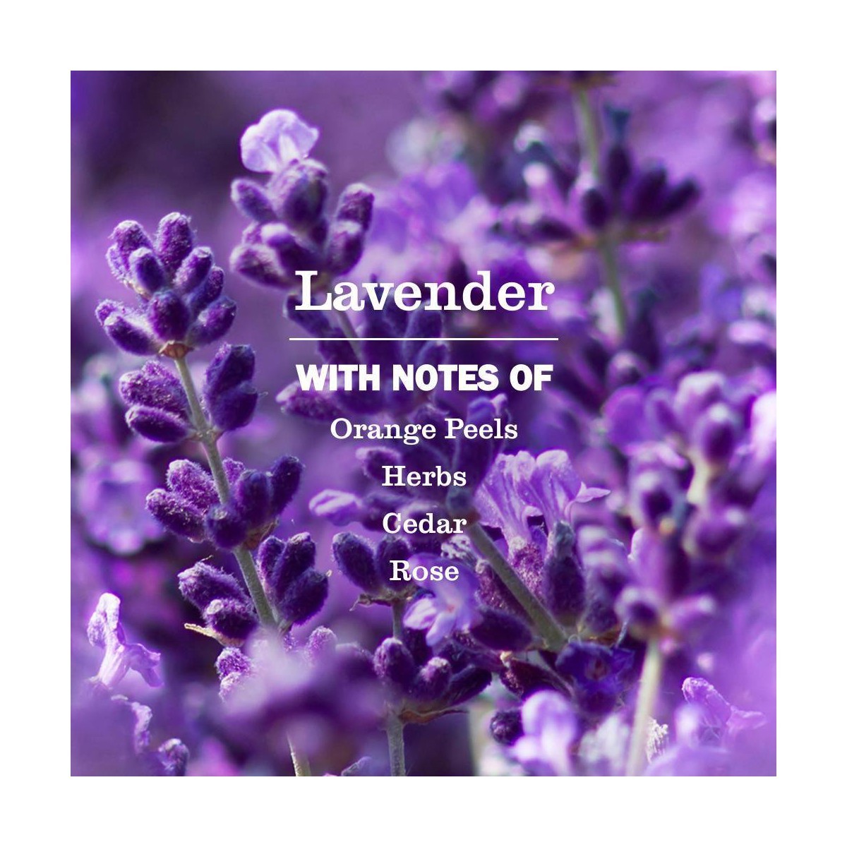 Mrs. Meyer's Clean Day Lavender Laundry Detergent 74 Loads – 64 fl oz