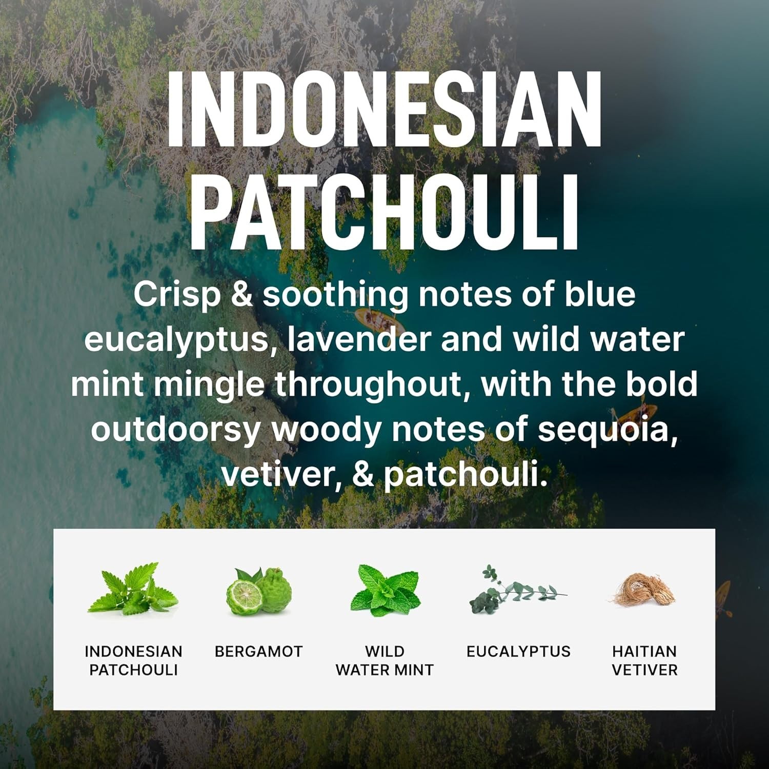 Paraben-Free Indonesian Patchouli Fabric Softener – Softens & Preserves Fabrics