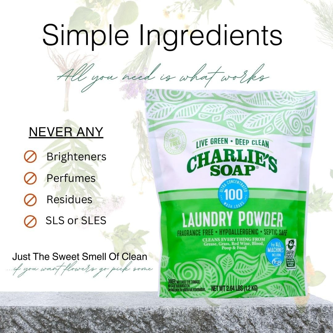 Charlie’s Soap Laundry Powder (100 Loads, 2 Pack) 42.24 Ounce (Pack of 2)