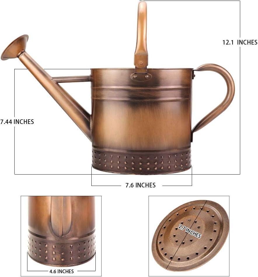 1 Gallon Metal Watering Can with Removable Spout, Nice Galvanized Steel Water