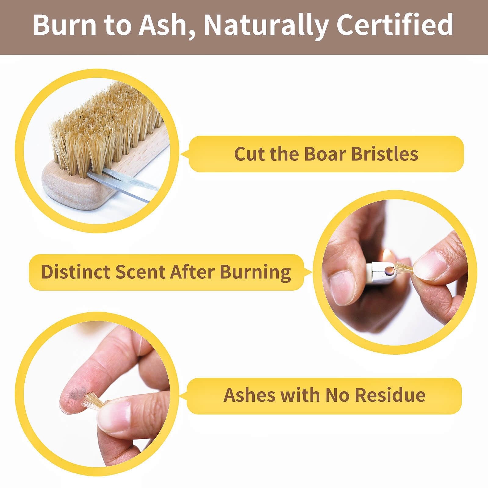 2 PCS Wood Laundry Stain Brush Set Boar Bristles Large Small Scrub Remover