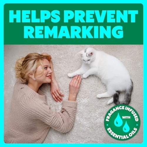 Shout Pet Stain Remover Spray, Color-Safe Multisurface & Carpet Cleaner Solut…