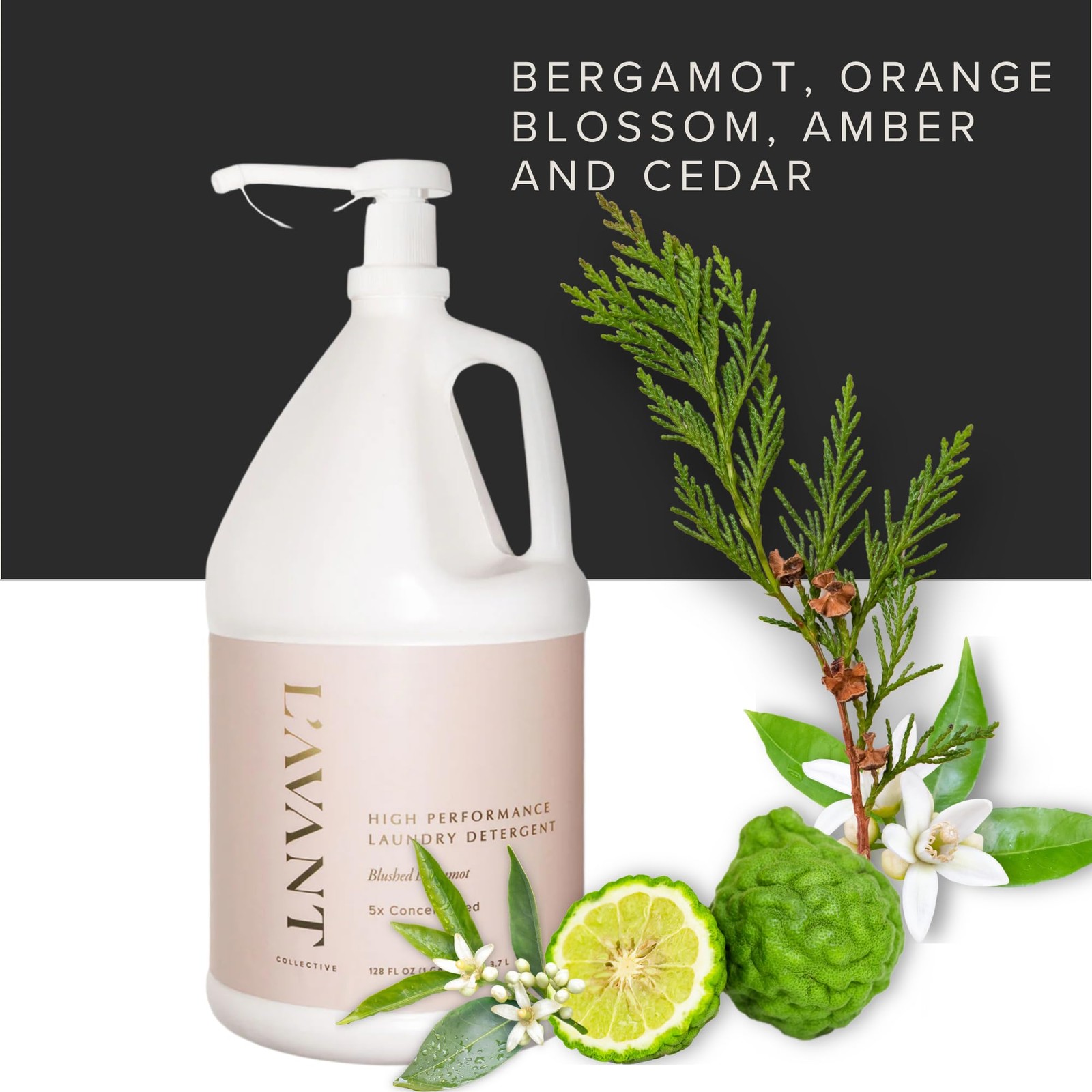 Luxury Laundry Detergent | Bulk 1 Gallon | Blushed Bergamot | Natural Non-Tox…