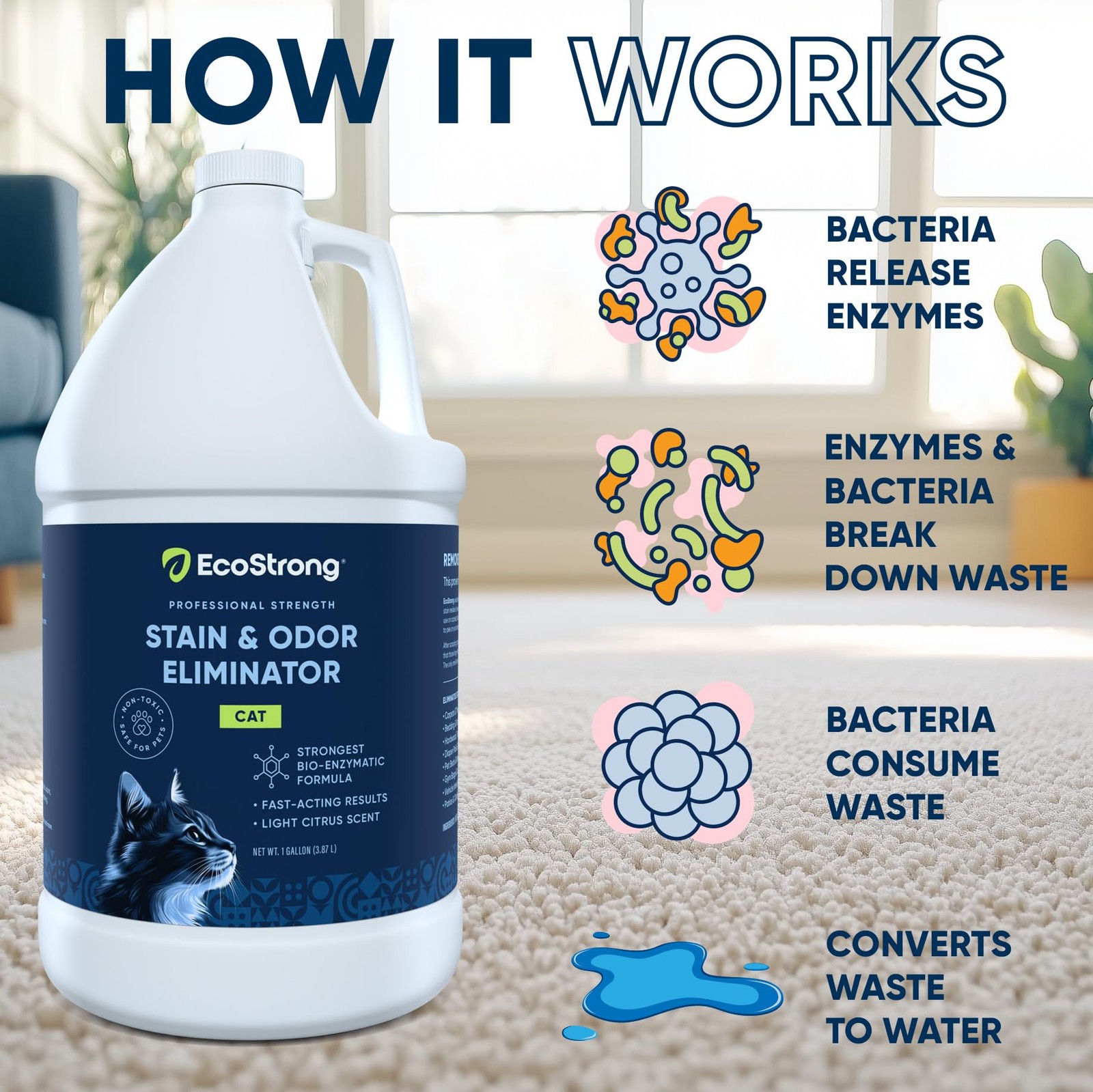 Eco Strong Cat Stain & Odor Remover | Enzyme Urine Neutralizer 160oz for Carpet