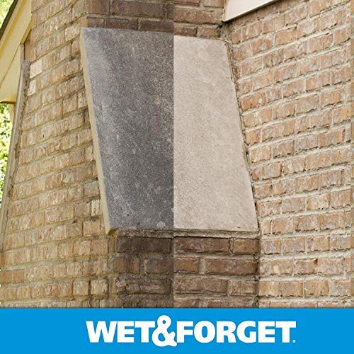 Wet & Forget Outdoor Moss, Mold, Mildew, & 64 Fluid Ounces, Ready to Use
